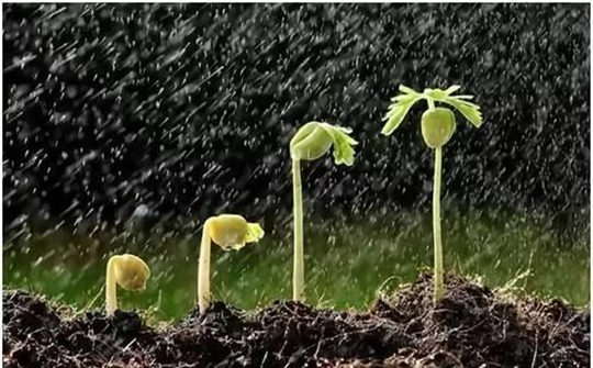 土壤墑情監(jiān)測系統的安裝步驟