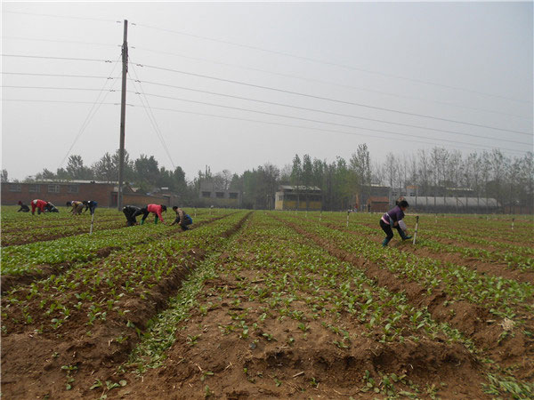 土壤養(yǎng)分速測(cè)儀的速測(cè)方法是什么？