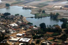 土壤水分對(duì)葉片特性有什么影響？