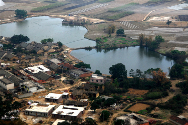 土壤水分對(duì)葉片特性有什么影響？