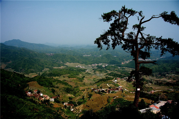 土壤水分速測(cè)儀在連翹種植中效果如何？