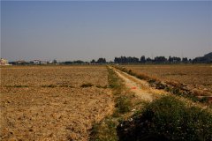 土壤養(yǎng)分速測儀保障我國耕地質(zhì)量