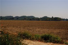 土壤水含量的變化對植物有哪些影響？