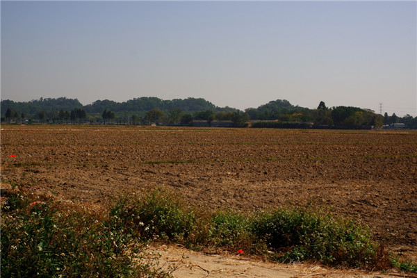 土壤水含量的變化對(duì)植物有哪些影響？