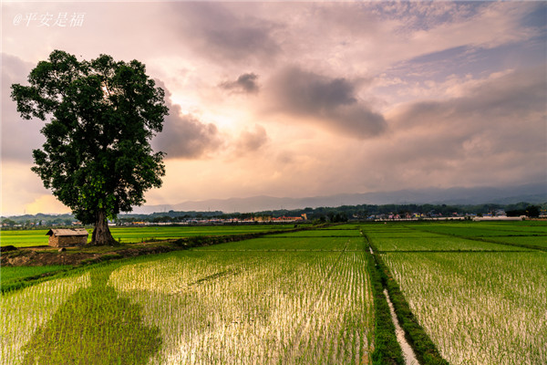 土壤墑情速測(cè)儀的使用效果怎么樣？