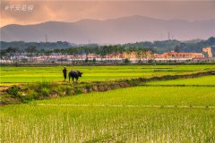 土壤養(yǎng)分速測儀實現(xiàn)用地與養(yǎng)地相結(jié)合