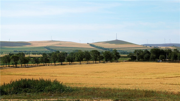 土壤墑情監(jiān)測(cè)站的分類和特點(diǎn)分析