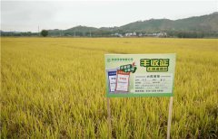 土壤墑情監(jiān)測系統(tǒng)的應(yīng)用效果怎么樣？