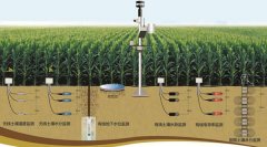 土壤墑情怎么讀，在實(shí)際農(nóng)業(yè)中應(yīng)用怎樣？