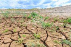 安裝土壤墑情自動監(jiān)測系統(tǒng)有哪些好處？