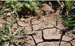 土壤墑情監(jiān)測(cè)系統(tǒng)可以提供哪些數(shù)據(jù)