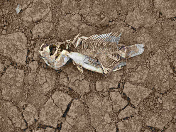 安裝土壤墑情自動監(jiān)測系統(tǒng)的意義在哪里？