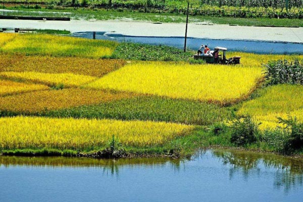 土壤墑情自動監(jiān)測站淺析