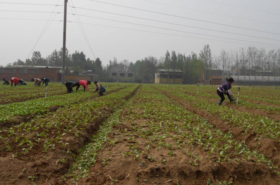 土壤含水量是如何計(jì)算的？