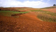 取樣方式不同對(duì)土壤墑情監(jiān)測(cè)精度有影響嗎？