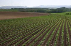 神經(jīng)網(wǎng)絡(luò)法能用于土壤墑情預測嗎？