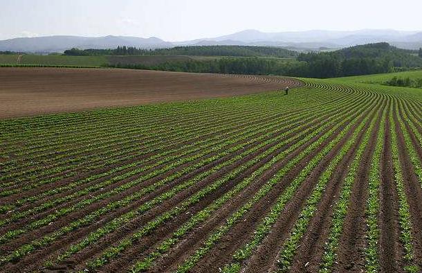 神經(jīng)網(wǎng)絡(luò)法能用于土壤墑情預(yù)測(cè)嗎？