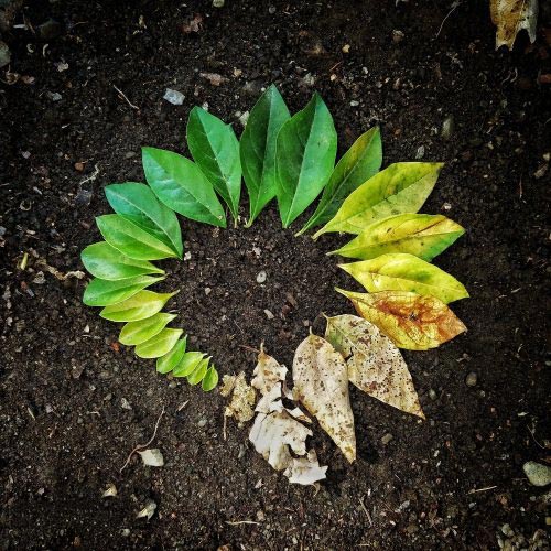 土壤水分類型科普 土壤水分類型科普